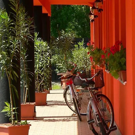 Rider Guest house 3*