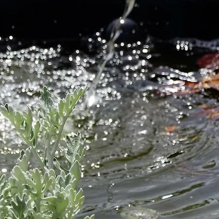 Rider Guest house Balatonszemes