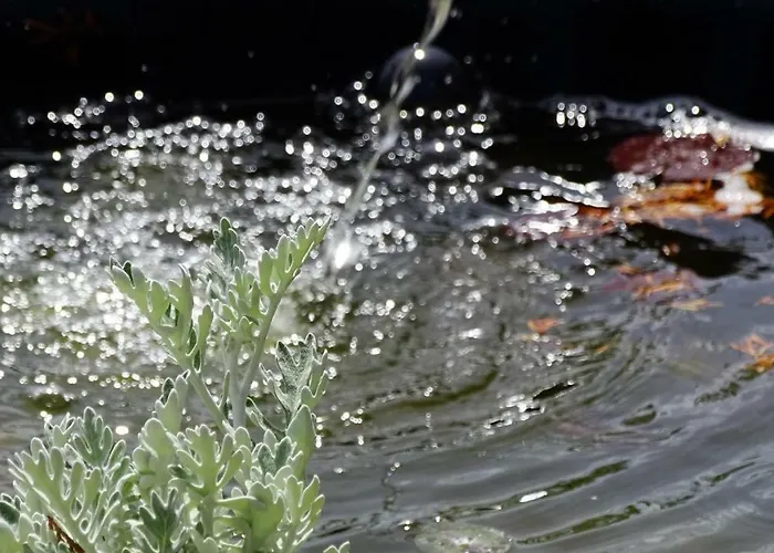 Rider Pensjonat Balatonszárszó